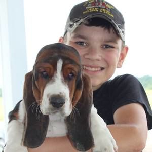 Meet your Posher, Viola